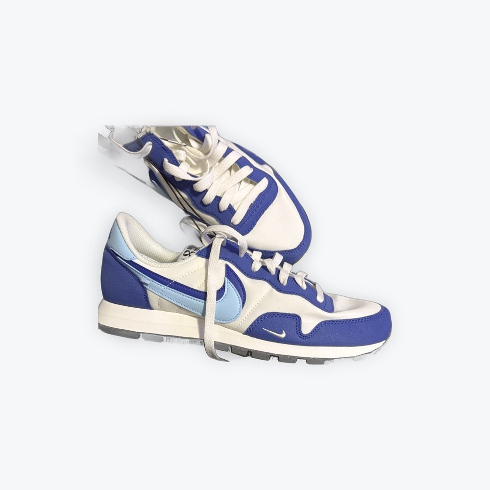 Blue and White Nike Pegasus 83